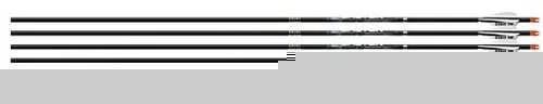 ZR_101377