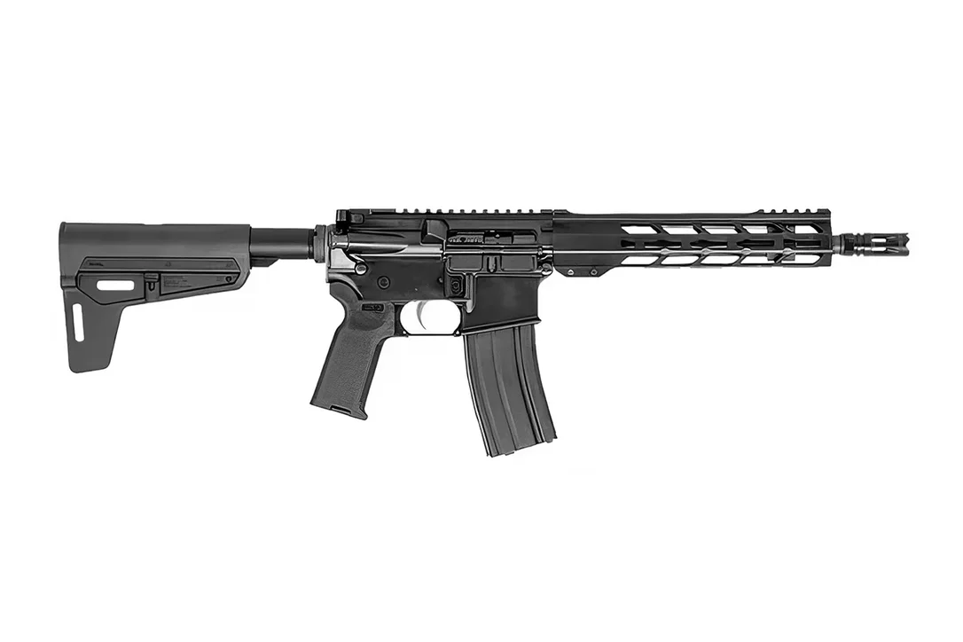 ar15disc_2026_04_24_23_08_16_6128