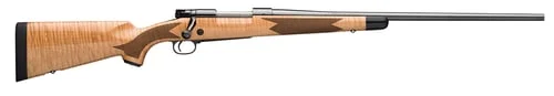 payneg_2026_04_26_01_12_19_141397